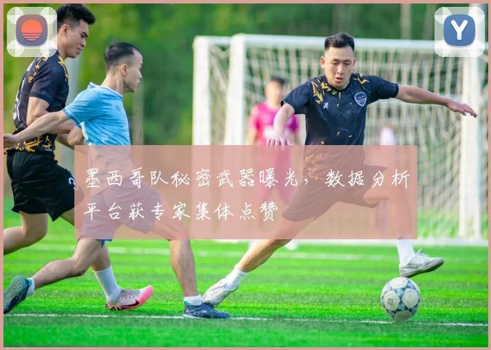 墨西哥队秘密武器曝光，数据分析平台获专家集体点赞
