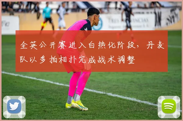全英公开赛进入白热化阶段，丹麦队以多拍相扑完成战术调整