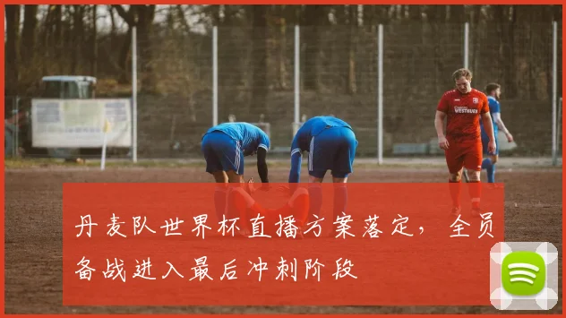 丹麦队世界杯直播方案落定，全员备战进入最后冲刺阶段