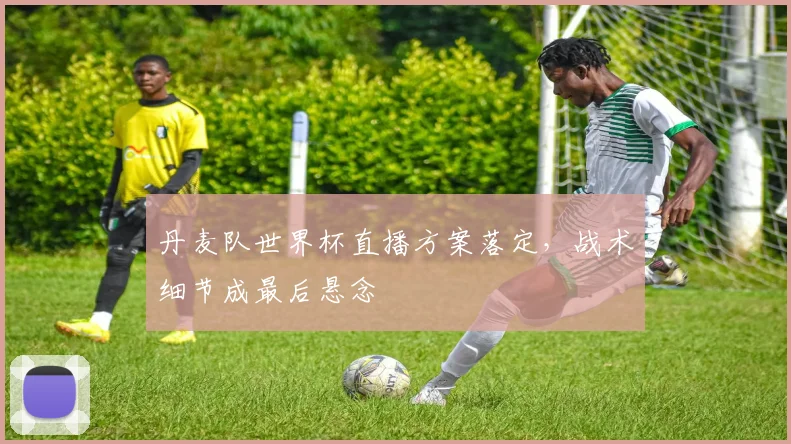 丹麦队世界杯直播方案落定，战术细节成最后悬念